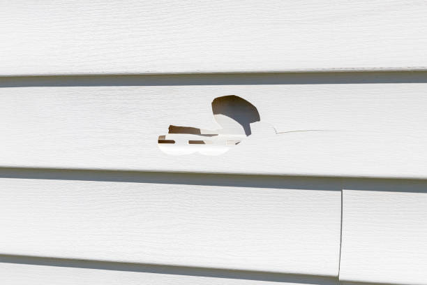 Best Engineered Wood Siding  in Wetumpka, AL