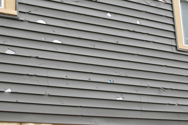 Best Steel Siding Installation  in Wetumpka, AL