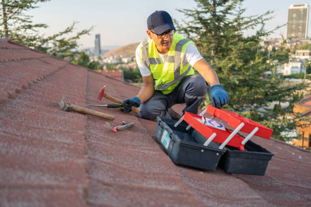 Best Siding Painting and Refinishing  in Wetumpka, AL